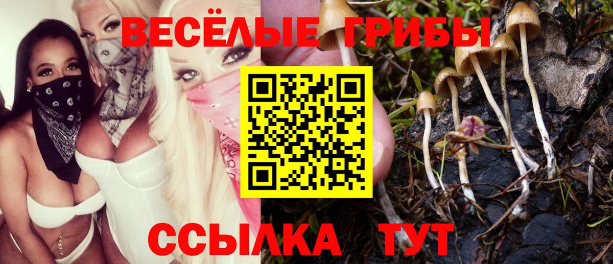 Рубцовск  Псилоцибиновые грибы GOLDEN TEACHER  Вход с VPN  Галлюциногенные грибы Psilocybine cubensis 